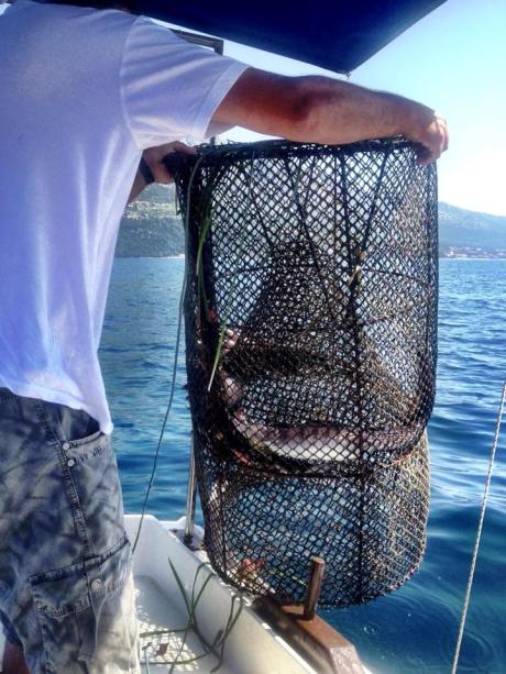 June 2013 - fishing at Korcula Croatia