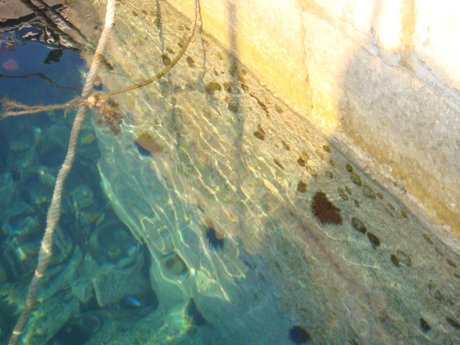 Pristine waters at wharf in Korcula Croatia