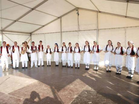 Cavoglave Croatia Victory Day 2013 Photo: Marko Perkovic Thompson FB