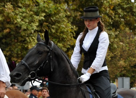 Vinkovac Autumns 2013 28