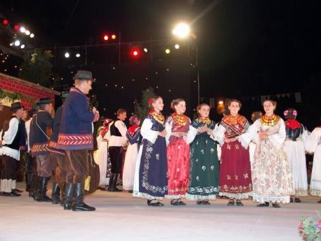 Vinkovac Autumns 2013 9