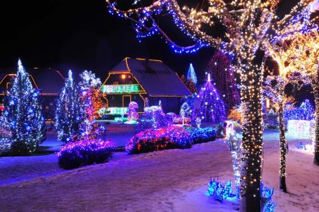 Live Nativity Scene on Family Salaj Estate Grabovnica, Cazma near Zagreb, Croatia