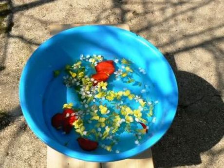 Palm Sunday 2014 Croatia - Flower water basin