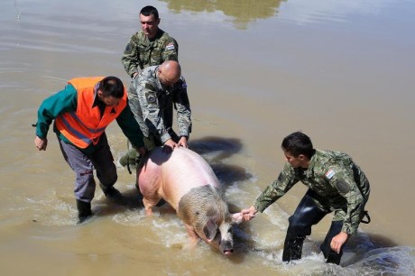 Floods Croatia 30