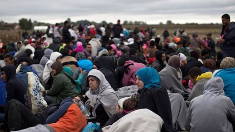 Dumped in "nowhere in the dark of night" by Serbia near Croatian border at Strosinci Marko Drobnjakovic / Keystone 