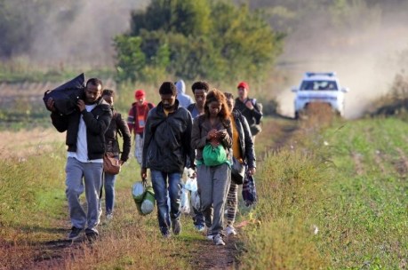 Crossing the border to Croatia across farms and cornfields