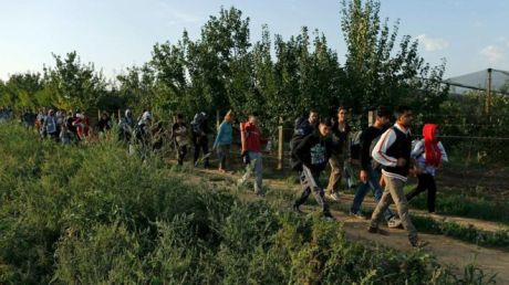 Refugees walk into Croatia from Serbia