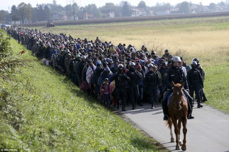 Refugees and migrants Dobova, Slovenia, at Croatian border 22 October 2015 Phopto: Reuters
