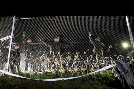 Hungarian soldiers seal off border with Croatia 16 October 2015 Photo: Reuters/Antonio Bronic