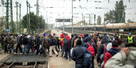 Migrants and refugees crossing the town of Cakovec, Croatia Saturday 17 October to reach Slovenia