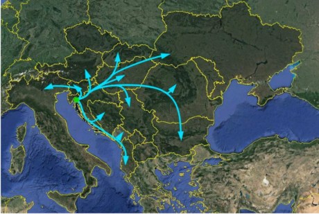 Possible Gas Pipelines from Krk Island LNG Terminal Croatia