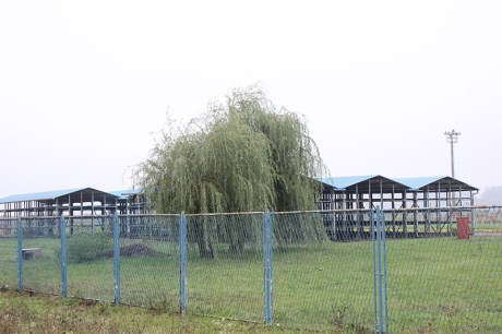 Site planned for refugee camp in Slavonski Brod Croatia near the building that's being prepared