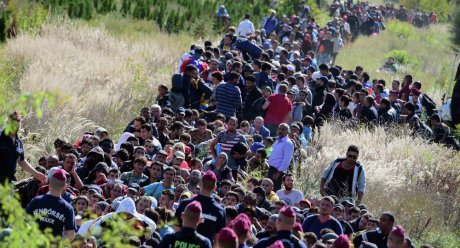 Refugees crossing into European countries anywhere they can away from official borders creating chaos and disorder Photo: AFP/ Attila Kisenbeck