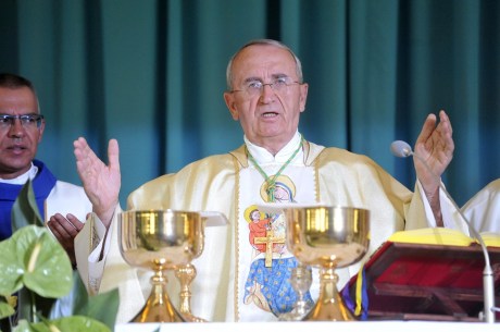 Archbishop Zelimir Puljic